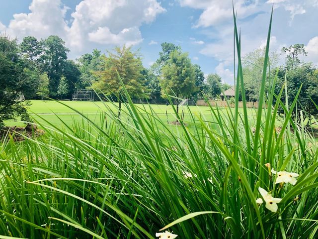 29021 Cherrywood Lane, Shenandoah, TX 77381