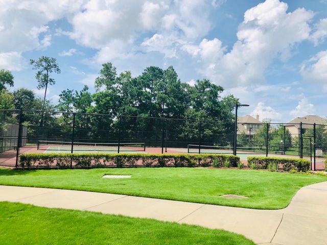 29021 Cherrywood Lane, Shenandoah, TX 77381