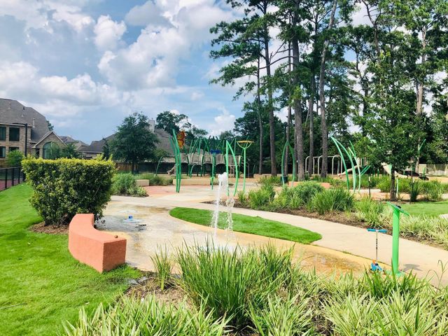 29021 Cherrywood Lane, Shenandoah, TX 77381