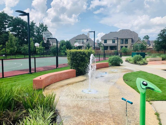 29021 Cherrywood Lane, Shenandoah, TX 77381