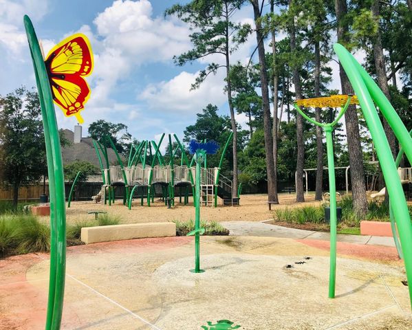 29021 Cherrywood Lane, Shenandoah, TX 77381