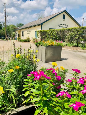 29021 Cherrywood Lane, Shenandoah, TX 77381