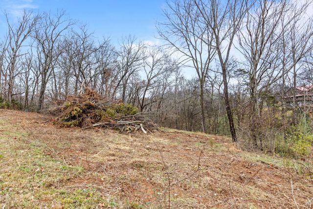 0 Scenic Hollow Drive, Dunlap, TN 37327