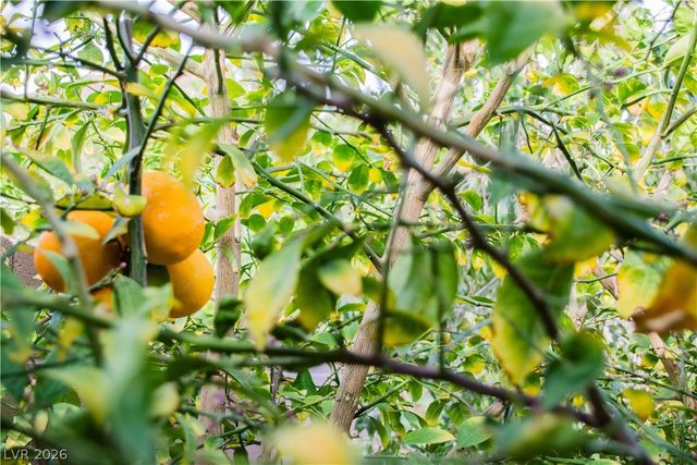 48 Vicolo Della Luna, Henderson, NV 89011