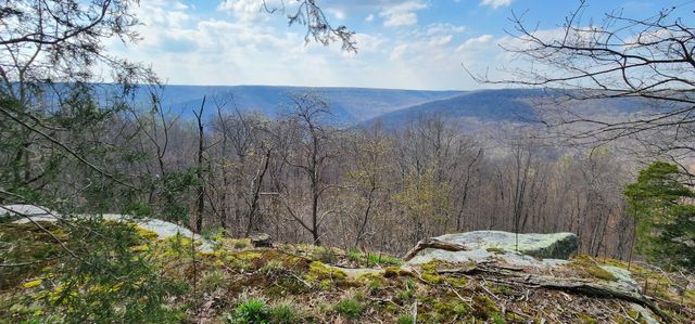 0 Roth Point Road, Altamont, TN 37301