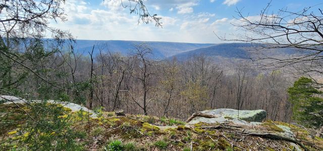 0 Roth Point Road, Altamont, TN 37301