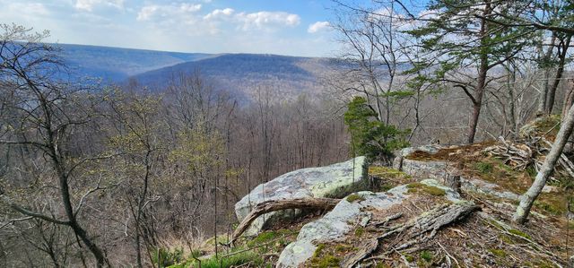 0 Roth Point Road, Altamont, TN 37301