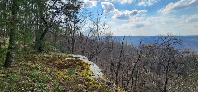 0 Roth Point Road, Altamont, TN 37301
