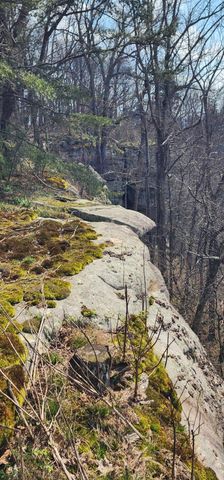 0 Roth Point Road, Altamont, TN 37301