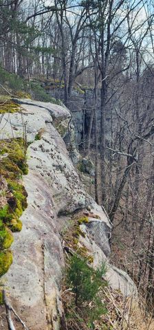 0 Roth Point Road, Altamont, TN 37301