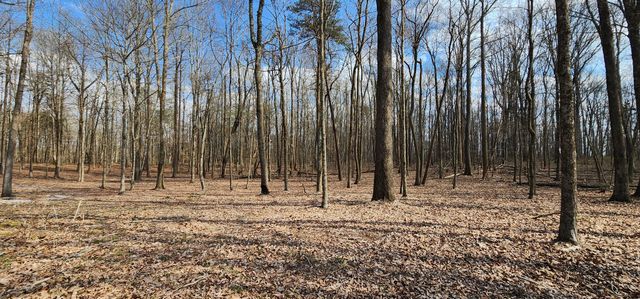 0 Roth Point Road, Altamont, TN 37301