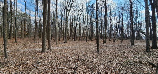 0 Roth Point Road, Altamont, TN 37301