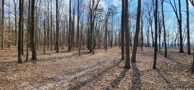0 Roth Point Road, Altamont, TN 37301