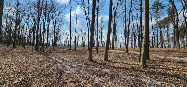 0 Roth Point Road, Altamont, TN 37301