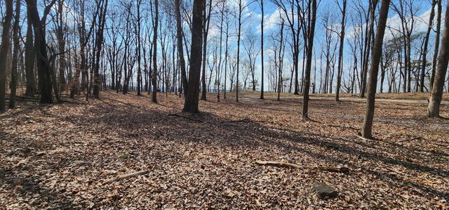 0 Roth Point Road, Altamont, TN 37301
