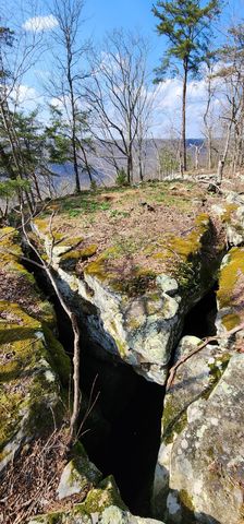 0 Roth Point Road, Altamont, TN 37301
