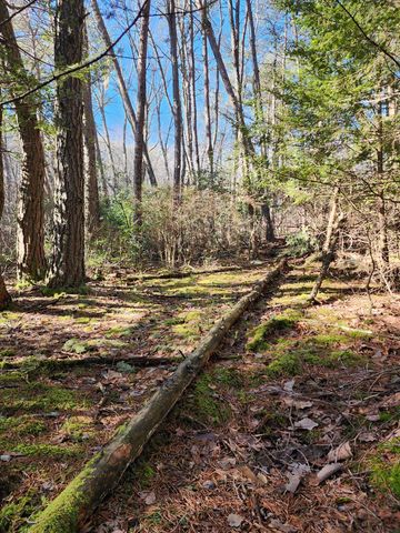 0 Roth Point Road, Altamont, TN 37301