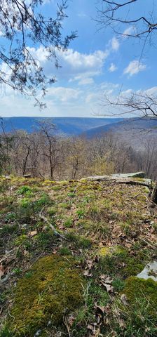0 Roth Point Road, Altamont, TN 37301