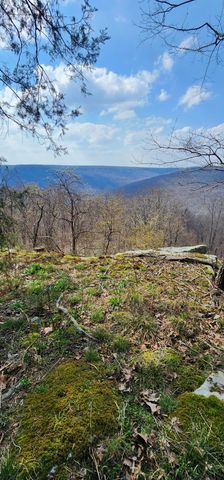 0 Roth Point Road, Altamont, TN 37301
