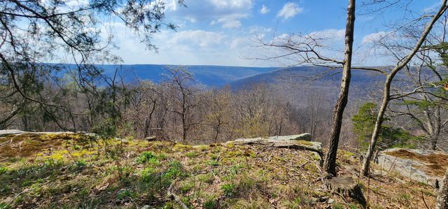 0 Roth Point Road, Altamont, TN 37301
