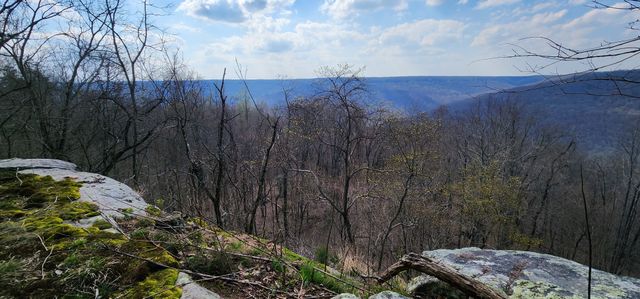 0 Roth Point Road, Altamont, TN 37301