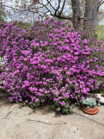 32 Hermanson Street, Berlin, NH 03570