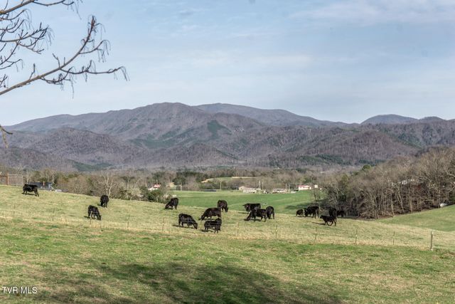 645 Garrett Hill Road, Greeneville, TN 37743