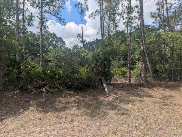 ALLAMANDA DRIVE, Indian Lake Estates, FL 33855
