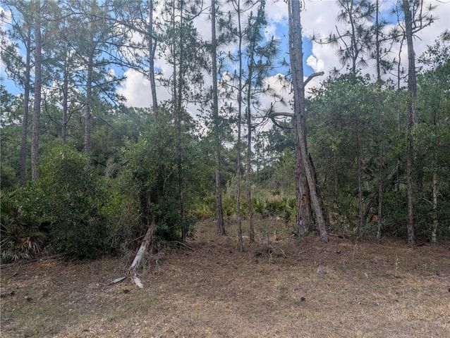 ALLAMANDA DRIVE, Indian Lake Estates, FL 33855