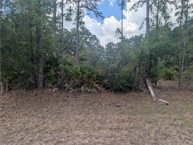 ALLAMANDA DRIVE, Indian Lake Estates, FL 33855