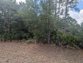 ALLAMANDA DRIVE, Indian Lake Estates, FL 33855