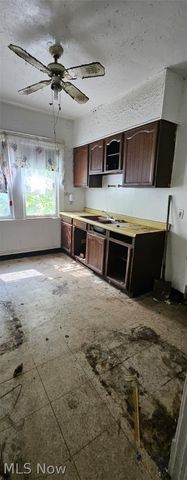 13517 4th Avenue, East Cleveland, OH 44112