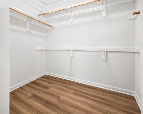 239 Blushwood Place, The Woodlands, TX 77382