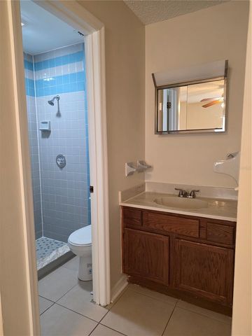 165 TOLUCA DRIVE, Kissimmee, FL 34743