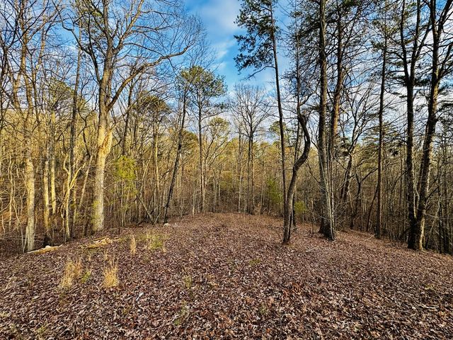 287 Lookout Valley Trail, Talking Rock, GA 30175