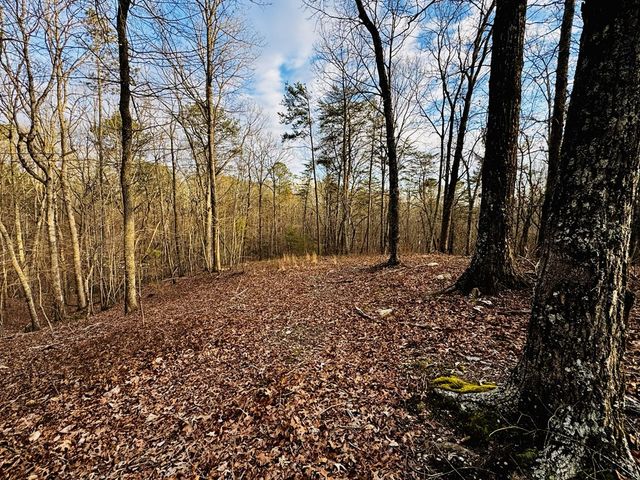 287 Lookout Valley Trail, Talking Rock, GA 30175