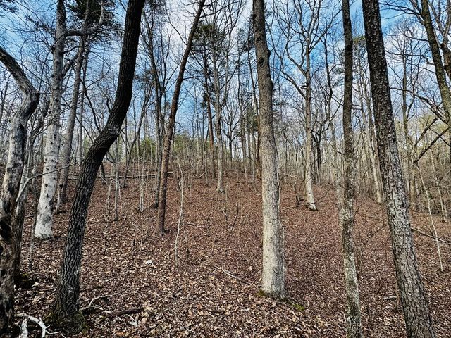 287 Lookout Valley Trail, Talking Rock, GA 30175