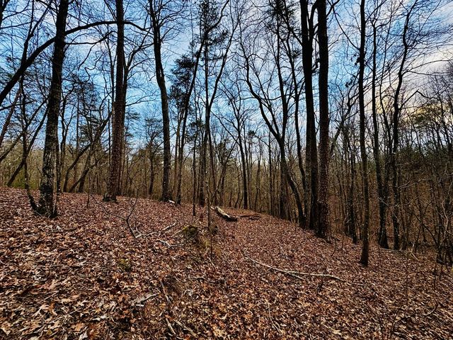 287 Lookout Valley Trail, Talking Rock, GA 30175