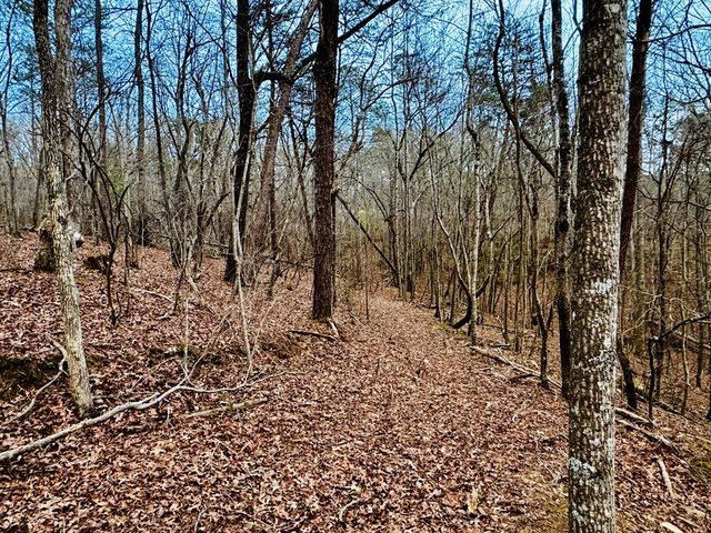 287 Lookout Valley Trail, Talking Rock, GA 30175