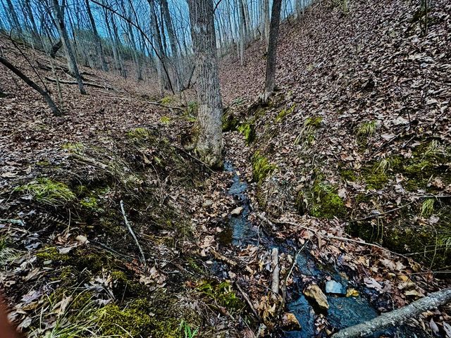 287 Lookout Valley Trail, Talking Rock, GA 30175