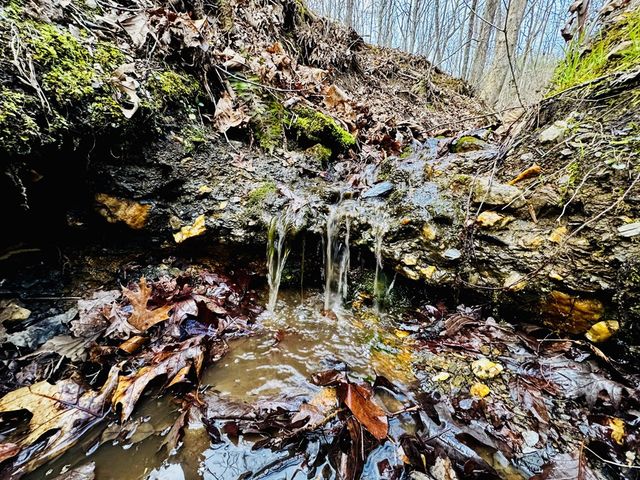 287 Lookout Valley Trail, Talking Rock, GA 30175