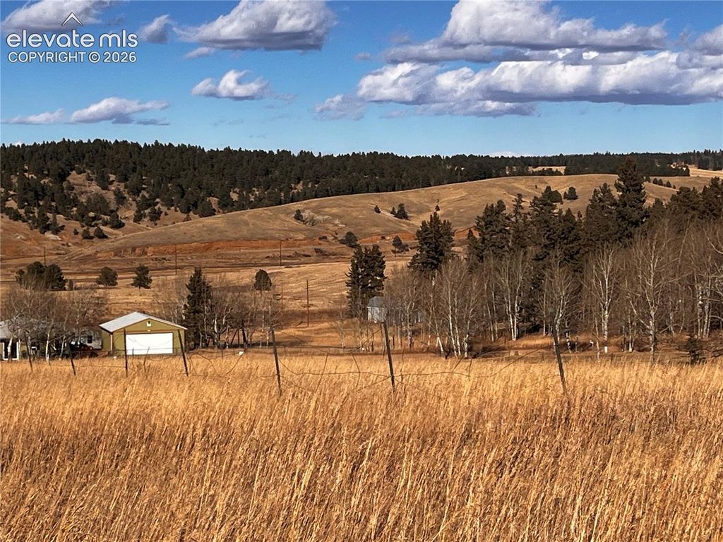 216 Will Scarlet Drive, Divide, CO 80814 — exterior