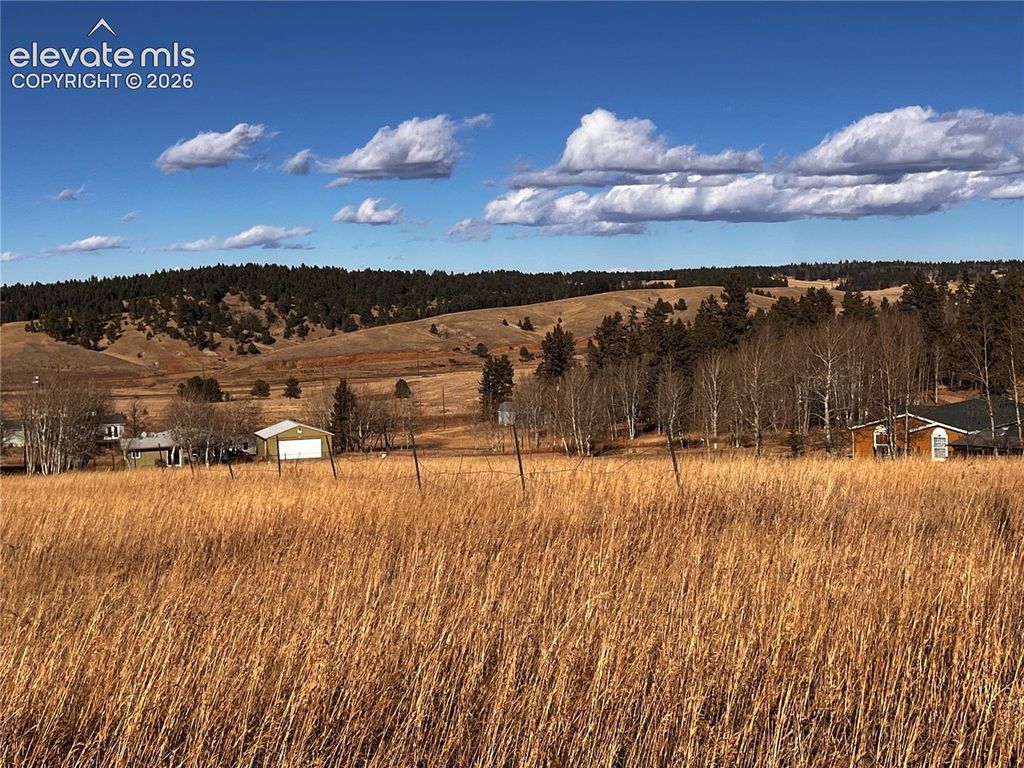 216 Will Scarlet Drive, Divide, CO 80814 — photo 2