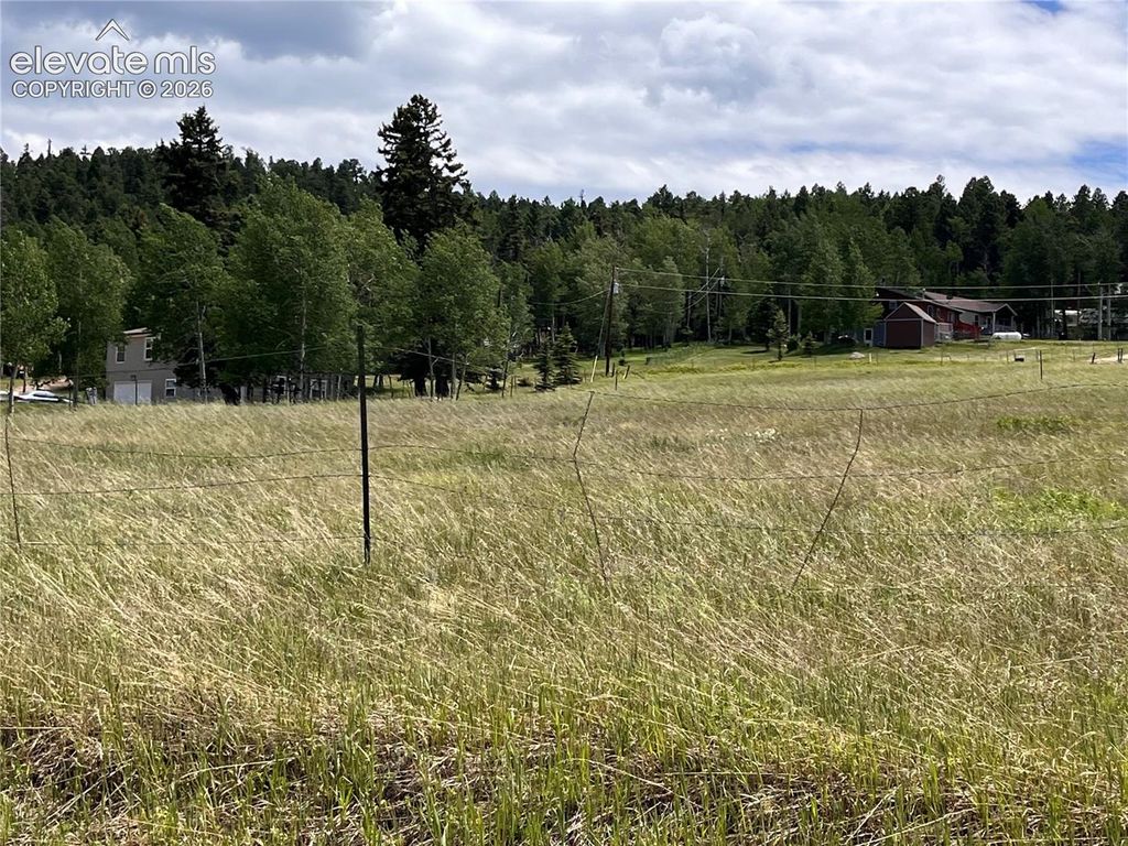 216 Will Scarlet Drive, Divide, CO 80814 — photo 3