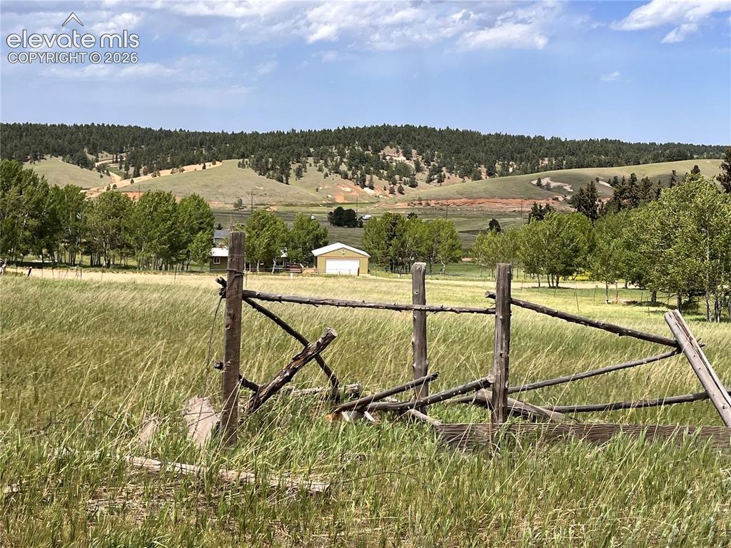 216 Will Scarlet Drive, Divide, CO 80814 — photo 4