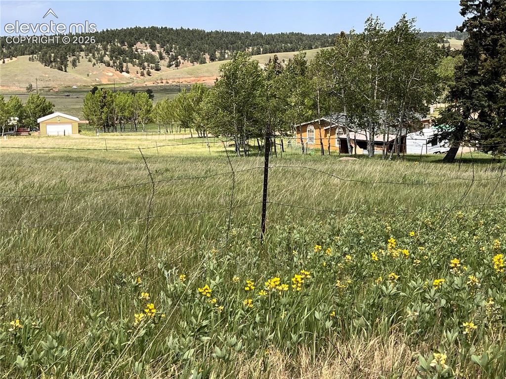 216 Will Scarlet Drive, Divide, CO 80814 — photo 5