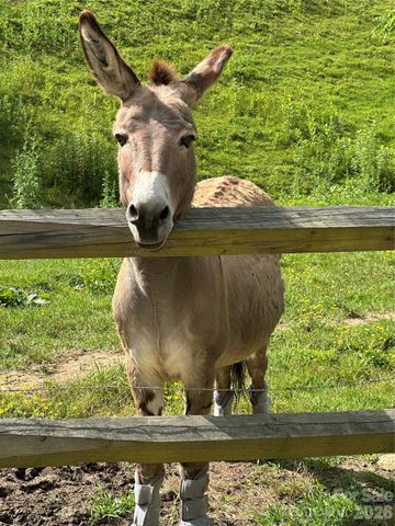 616 Appaloosa Trail, Waynesville, NC 28785