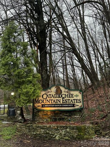 616 Appaloosa Trail, Waynesville, NC 28785