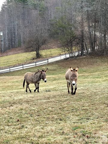 616 Appaloosa Trail, Waynesville, NC 28785