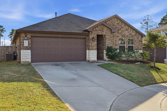 11519 Parrot Fish Court, Conroe, TX 77304